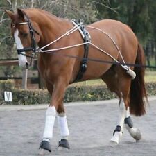 Horse pessoa lunging for sale  MANCHESTER