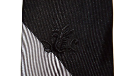 Loper neck tie for sale  Peoria