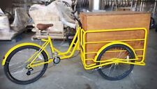Cargo bike bici usato  Roma