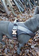 French bulldog harness for sale  LONDON