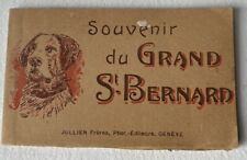 Souvenir grand st.bernard for sale  BEXHILL-ON-SEA