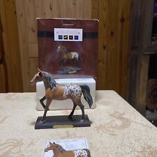 Trail painted ponies for sale  Greenville