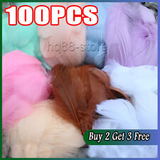 100 small fluffy for sale  GAINSBOROUGH