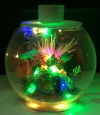Finding Nemo and friends Handmade Dc/Ln fairy lamps and  figurines  for sale  Shipping to South Africa