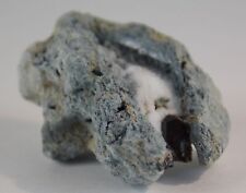 Neptunite crystal 3.9 for sale  Bisbee