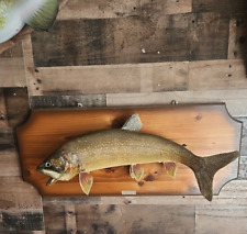 Taxidermy lake trout for sale  New Douglas