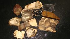 Old mixed petrified for sale  Dyer