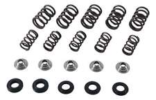 Hot Cams Valve Spring Kit for Yamaha YFM660 R Raptor 2001-2005 for sale  Shipping to South Africa