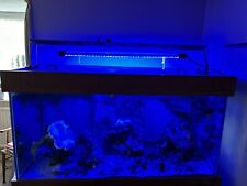 marine aquarium tank for sale  SANDOWN