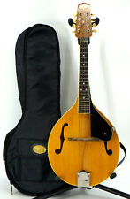 Johnson string mandolin for sale  Boise