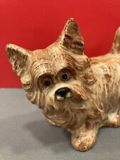 Yorkie yorkshire terrier for sale  Rockville Centre