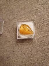 Fossil copal amber for sale  HINCKLEY