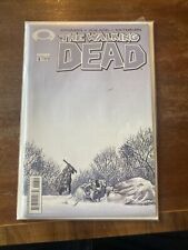 Usado, Quadrinhos Image The Walking Dead #8, primeira impressão comprar usado  Enviando para Brazil