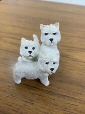 Unbranded westie dogs for sale  EXETER
