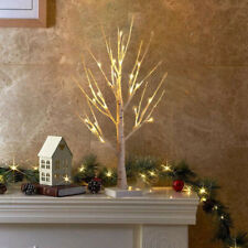 Led twig birch for sale  DUNSTABLE