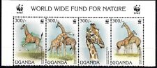 Uganda 1997 wwf usato  Trambileno