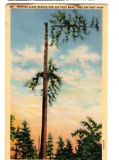 Topping Giant Spruce in Oregon or Washington WA - Vintage Linen postcard - 1943 for sale  Shipping to South Africa