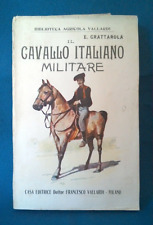 Cavallo italiano militare usato  Torino