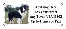 Border collie dog for sale  Rippey