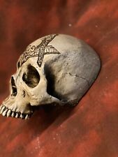 real human skull for sale  Alexandria