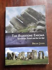 Bluestone enigma stonehenge for sale  MARKET RASEN