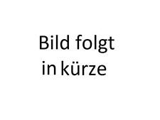 Ersatzteil leifheit fenstersau gebraucht kaufen  Berlin