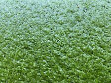 2000 duck weed for sale  PENZANCE