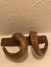 Rams horn for sale  PUDSEY
