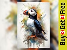 Puffin watercolor painting for sale  PORTSMOUTH
