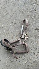 dually headcollar for sale  MAIDSTONE