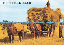 D146603 suffolk punch. for sale  WARLINGHAM