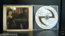 CD single Evanescence - Call Me When You're Sober 4 faixas (erro ortográfico) comprar usado  Enviando para Brazil