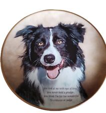 Border collie plate for sale  HEREFORD