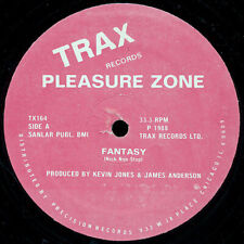 Pleasure zone fantasy usato  Roma