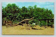 Postcard making sorghum for sale  The Colony
