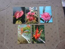 Flowers postcards d'occasion  Expédié en Belgium