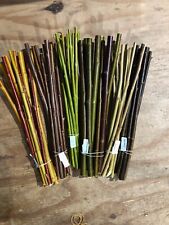 25cm living willow for sale  TODMORDEN