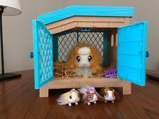 Mummy guineapig babies for sale  BRIGHTON