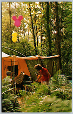 Usado, Cartão postal WALT DISNEY WORLD Flórida Fort Wilderness acampamento arborizado comprar usado  Enviando para Brazil
