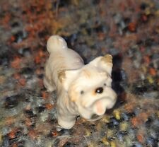 frise puppies bichon for sale  MILTON KEYNES