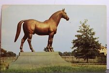 vintage wonder horse for sale  Wilmington
