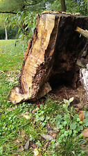 Hollow tree stump for sale  Joliet