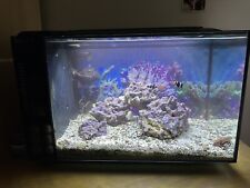 Live marine saltwater for sale  LIVERPOOL