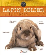 Lapin bélier nain d'occasion  France