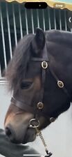 Fylde hand bridle for sale  LEEDS