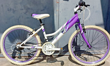 Bicicletta viola bambina usato  Torino