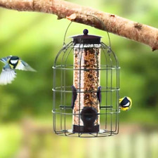 Garden seed bird for sale  BATHGATE