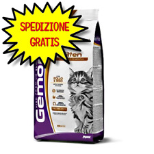 Gemon gatto kitten usato  San Felice Circeo