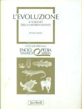 Evoluzione. viaggio della usato  Italia