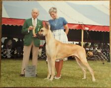 Great dane 1985 for sale  Brentwood